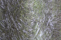 Birch Heath fibreglass roof work